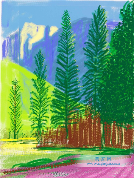 l· David Hockney - “Untitled No. 12” from “The Yosemite Suite”
